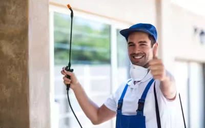 Natural Pest Control Methods for a Greener Texas Home