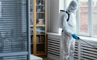 Protecting Your Home: Why Regular Pest Control is Essential