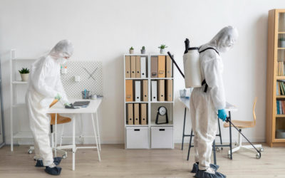 Pet-Safe Pest Control Solutions for Texas Homes